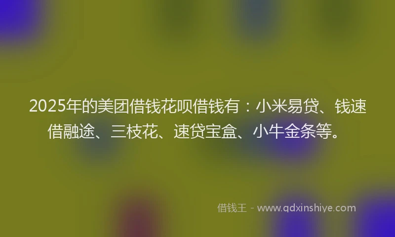 2025年的美团借钱花呗借钱有：小米易贷、钱速借融途、三枝花、速贷宝盒、小牛金条等。