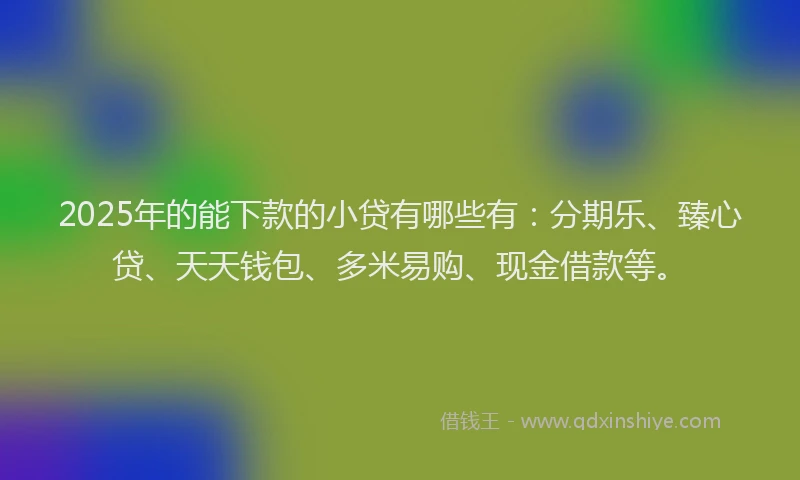 2025年的能下款的小贷有哪些有：分期乐、臻心贷、天天钱包、多米易购、现金借款等。