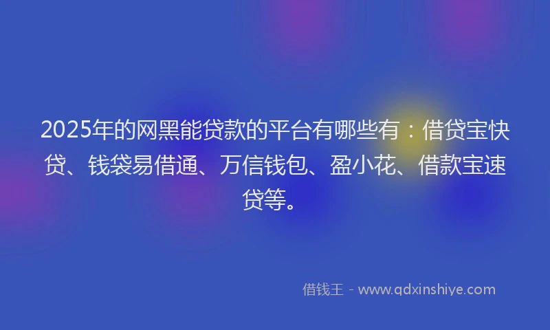 2025年的网黑能贷款的平台有哪些有：借贷宝快贷、钱袋易借通、万信钱包、盈小花、借款宝速贷等。