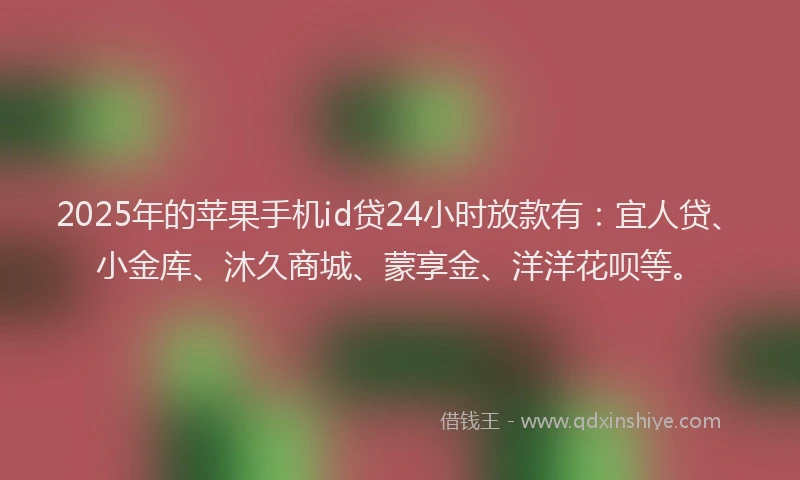 2025年的苹果手机id贷24小时放款有：宜人贷、小金库、沐久商城、蒙享金、洋洋花呗等。