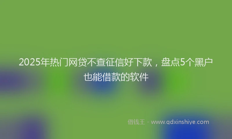 2025年热门网贷不查征信好下款，盘点5个黑户也能借款的软件