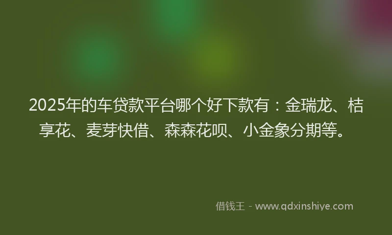 2025年的车贷款平台哪个好下款有：金瑞龙、桔享花、麦芽快借、森森花呗、小金象分期等。