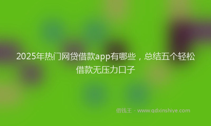 2025年热门网贷借款app有哪些，总结五个轻松借款无压力口子
