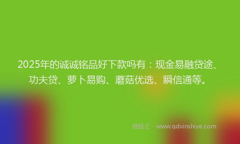 2025年的诚诚铭品好下款吗有：现金易融贷途、功夫贷、萝卜易购、蘑菇优选、瞬信通等。