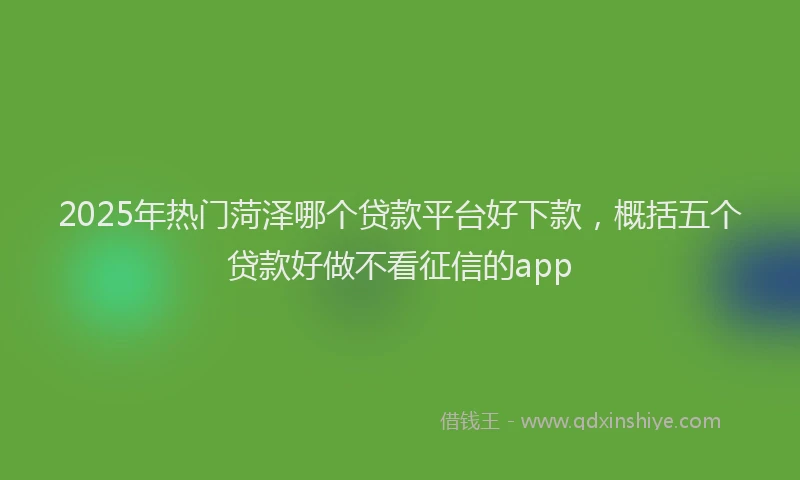 2025年热门菏泽哪个贷款平台好下款，概括五个贷款好做不看征信的app