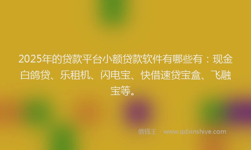 2025年的贷款平台小额贷款软件有哪些有：现金白鸽贷、乐租机、闪电宝、快借速贷宝盒、飞融宝等。