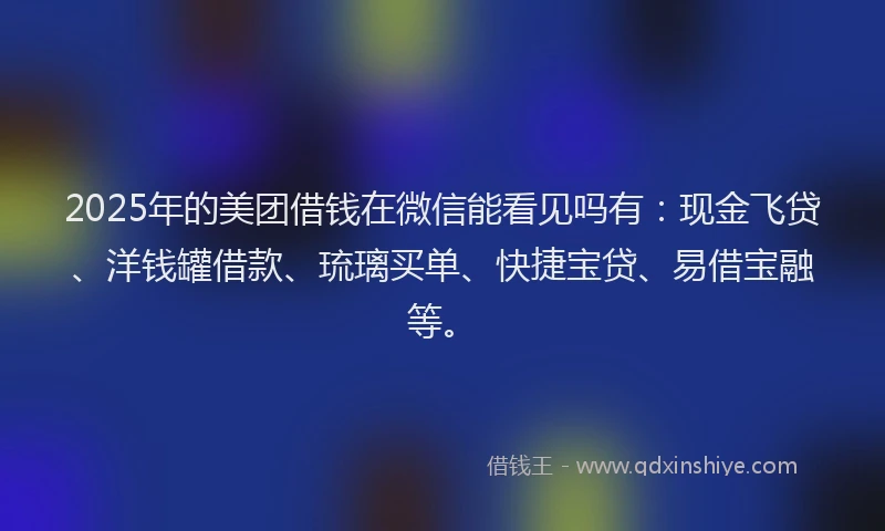 2025年的美团借钱在微信能看见吗有：现金飞贷、洋钱罐借款、琉璃买单、快捷宝贷、易借宝融等。