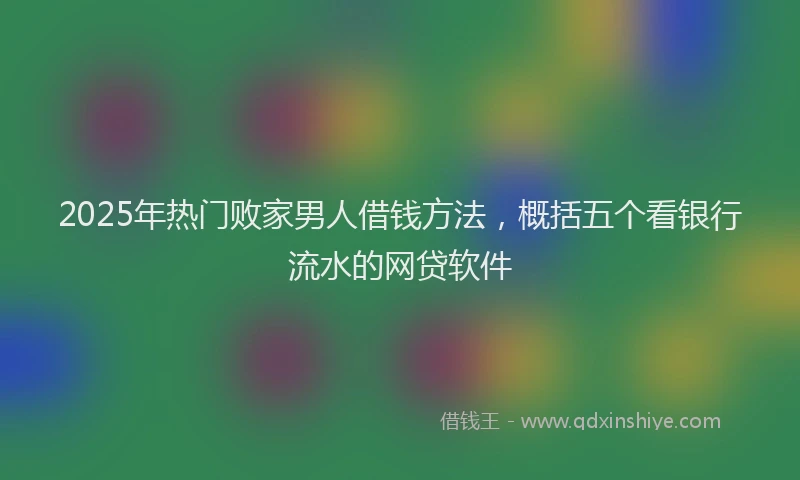 2025年热门败家男人借钱方法，概括五个看银行流水的网贷软件