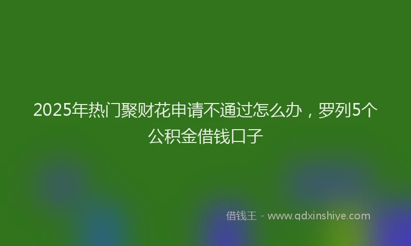 2025年热门聚财花申请不通过怎么办，罗列5个公积金借钱口子