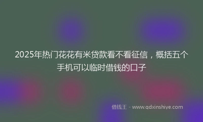 2025年热门花花有米贷款看不看征信，概括五个手机可以临时借钱的口子