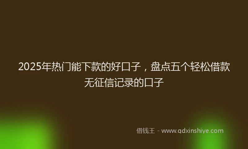 2025年热门能下款的好口子，盘点五个轻松借款无征信记录的口子