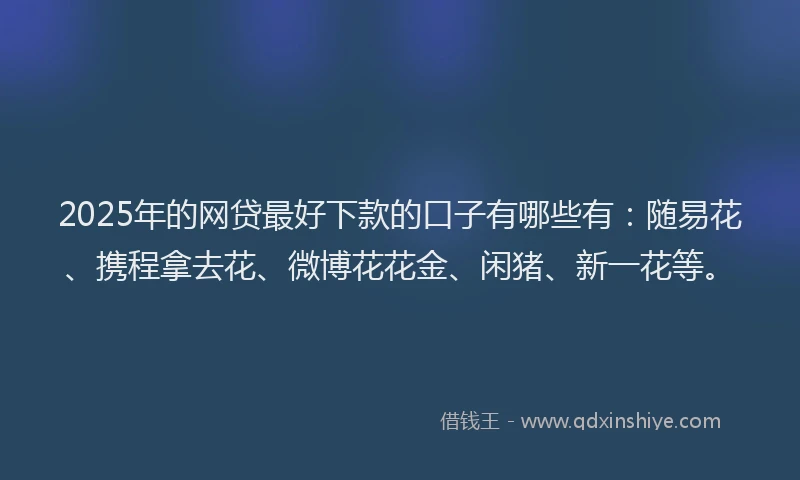 2025年的网贷最好下款的口子有哪些有：随易花、携程拿去花、微博花花金、闲猪、新一花等。
