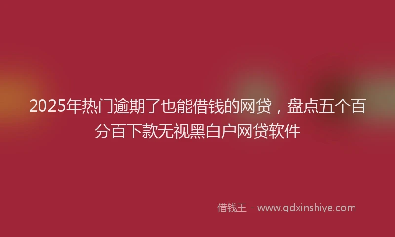 2025年热门逾期了也能借钱的网贷，盘点五个百分百下款无视黑白户网贷软件
