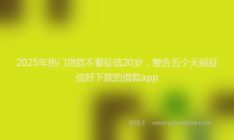 2025年热门贷款不看征信20岁，整合五个无视征信好下款的借款app