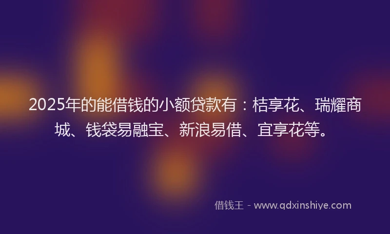 2025年的能借钱的小额贷款有：桔享花、瑞耀商城、钱袋易融宝、新浪易借、宜享花等。