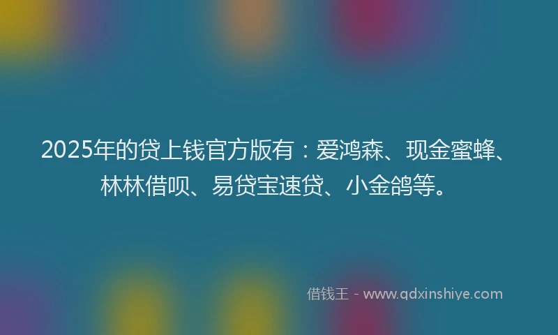 2025年的贷上钱官方版有：爱鸿森、现金蜜蜂、林林借呗、易贷宝速贷、小金鸽等。