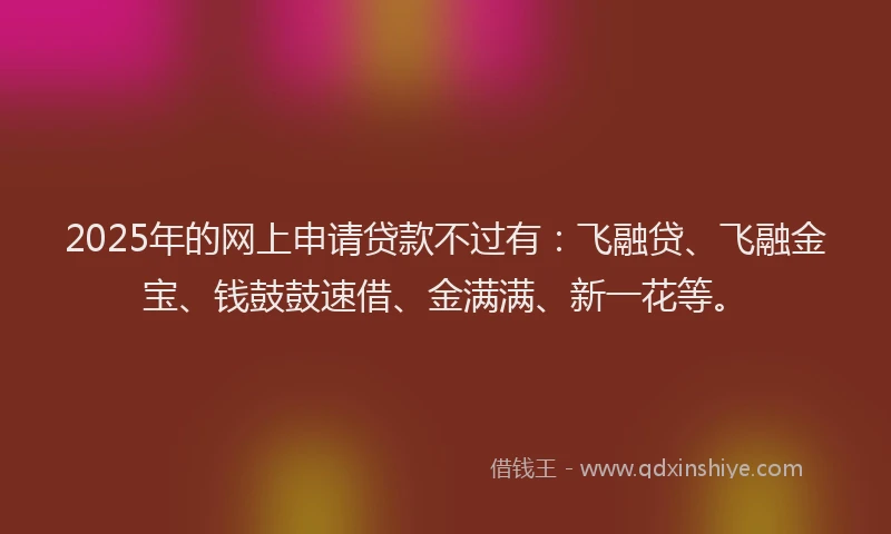 2025年的网上申请贷款不过有：飞融贷、飞融金宝、钱鼓鼓速借、金满满、新一花等。