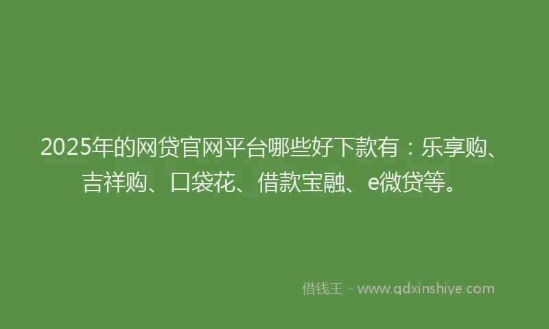 2025年的网贷官网平台哪些好下款有：乐享购、吉祥购、口袋花、借款宝融、e微贷等。