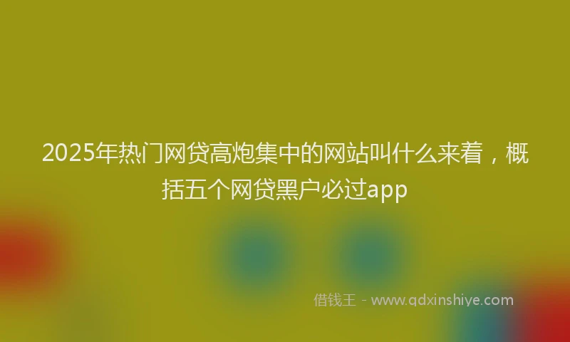 2025年热门网贷高炮集中的网站叫什么来着，概括五个网贷黑户必过app