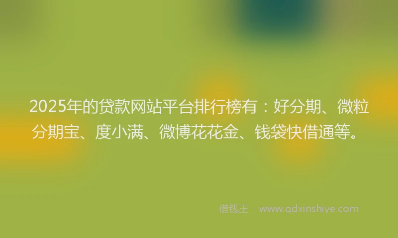 2025年的贷款网站平台排行榜有：好分期、微粒分期宝、度小满、微博花花金、钱袋快借通等。