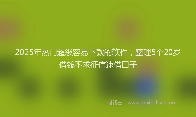 2025年热门超级容易下款的软件，整理5个20岁借钱不求征信速借口子