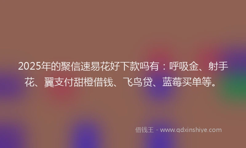 2025年的聚信速易花好下款吗有：呼吸金、射手花、翼支付甜橙借钱、飞鸟贷、蓝莓买单等。