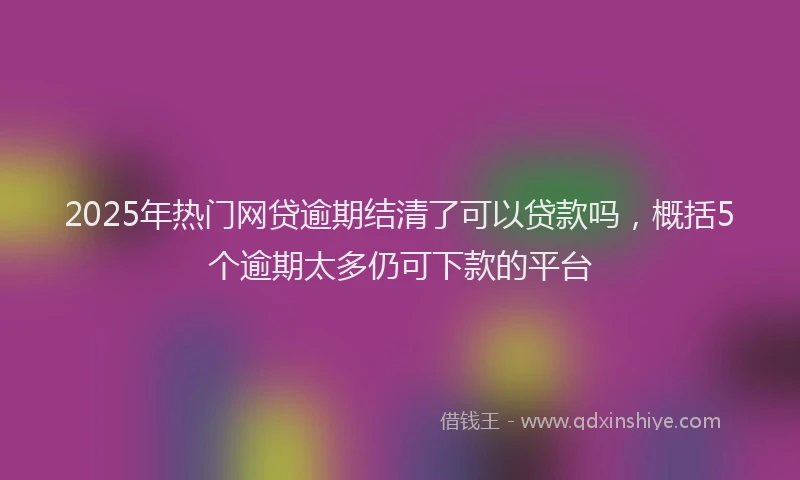 2025年热门网贷逾期结清了可以贷款吗，概括5个逾期太多仍可下款的平台