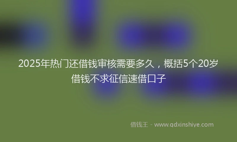 2025年热门还借钱审核需要多久，概括5个20岁借钱不求征信速借口子