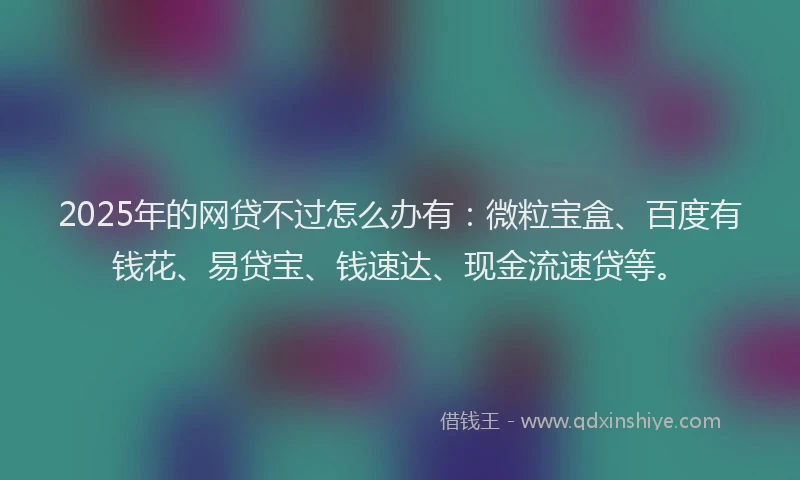 2025年的网贷不过怎么办有：微粒宝盒、百度有钱花、易贷宝、钱速达、现金流速贷等。