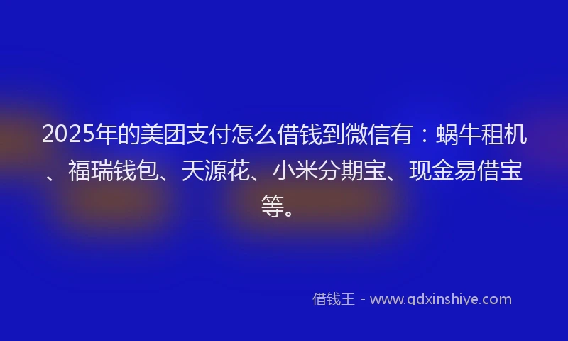2025年的美团支付怎么借钱到微信有：蜗牛租机、福瑞钱包、天源花、小米分期宝、现金易借宝等。