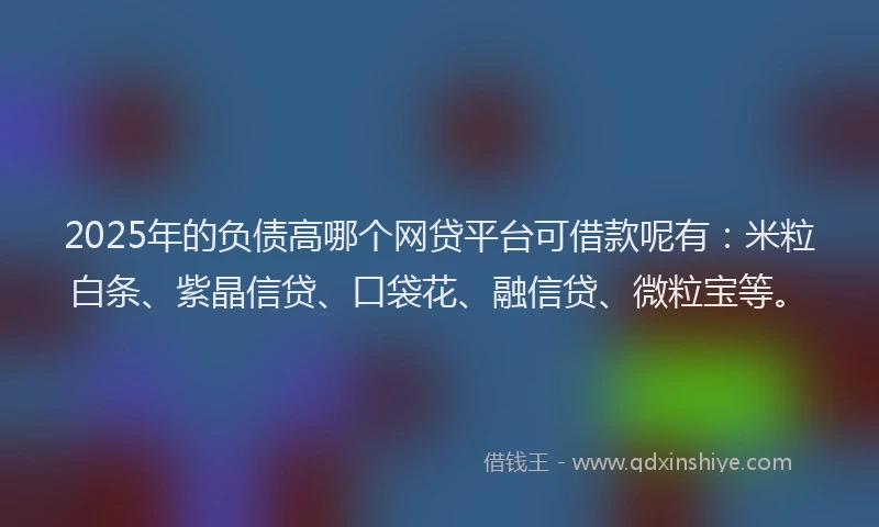 2025年的负债高哪个网贷平台可借款呢有：米粒白条、紫晶信贷、口袋花、融信贷、微粒宝等。