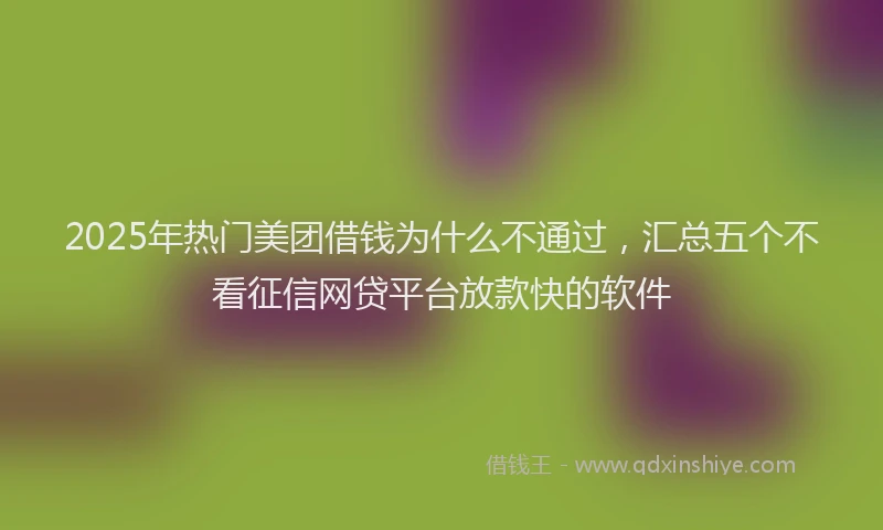 2025年热门美团借钱为什么不通过，汇总五个不看征信网贷平台放款快的软件