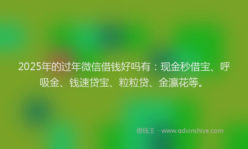 2025年的过年微信借钱好吗有：现金秒借宝、呼吸金、钱速贷宝、粒粒贷、金瀛花等。