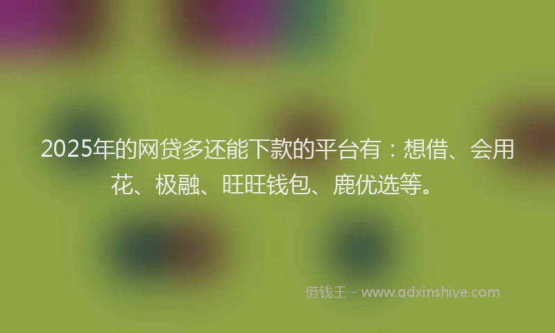 2025年的网贷多还能下款的平台有：想借、会用花、极融、旺旺钱包、鹿优选等。