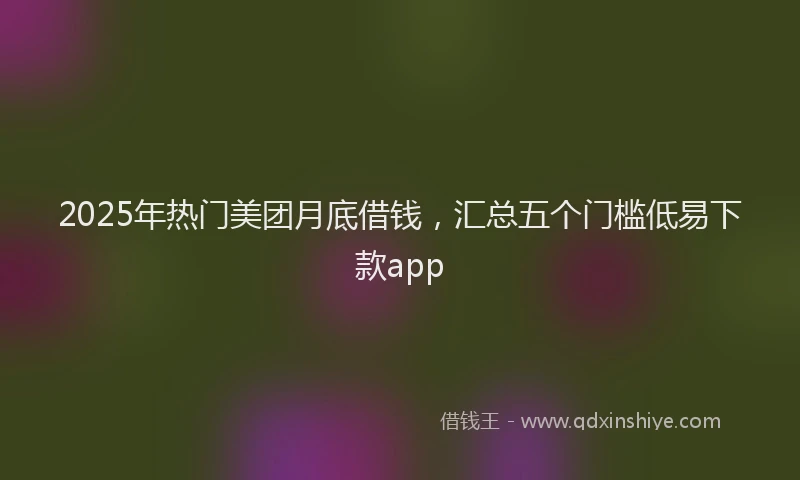 2025年热门美团月底借钱，汇总五个门槛低易下款app