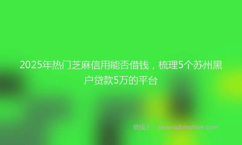 2025年热门芝麻信用能否借钱，梳理5个苏州黑户贷款5万的平台
