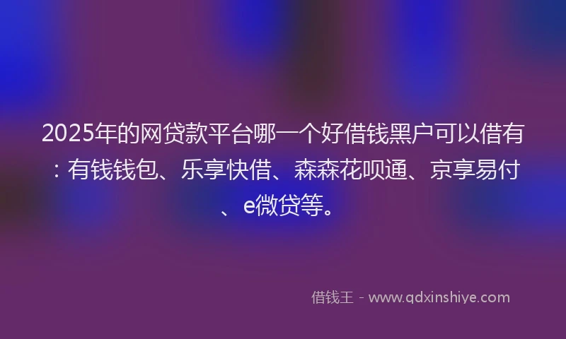 2025年的网贷款平台哪一个好借钱黑户可以借有：有钱钱包、乐享快借、森森花呗通、京享易付、e微贷等。