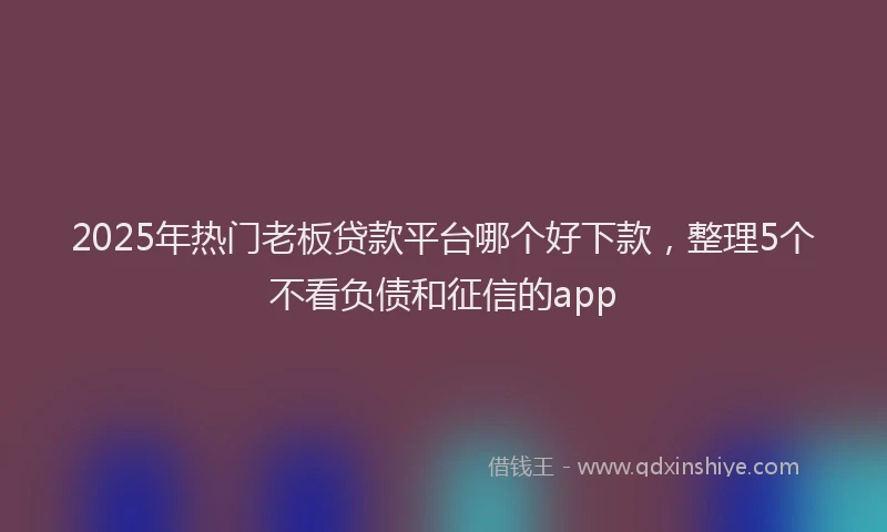 2025年热门老板贷款平台哪个好下款，整理5个不看负债和征信的app