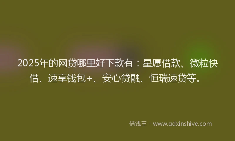 2025年的网贷哪里好下款有：星愿借款、微粒快借、速享钱包+、安心贷融、恒瑞速贷等。