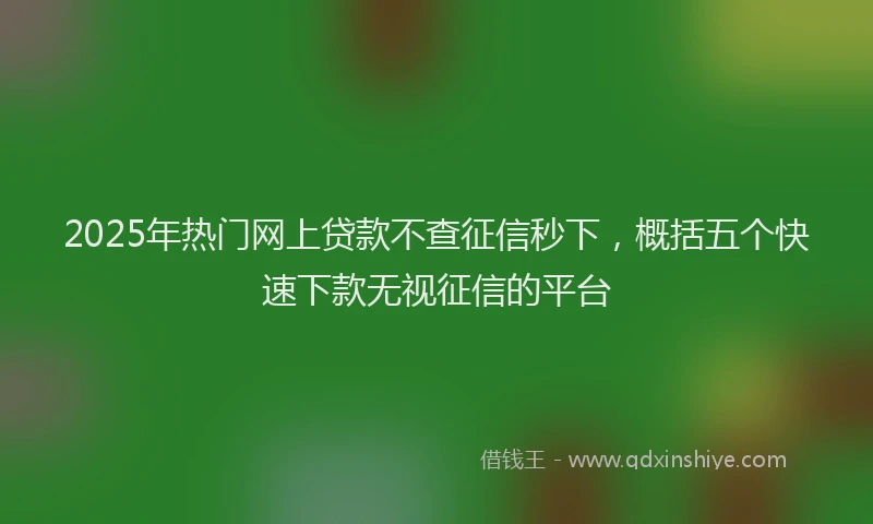 2025年热门网上贷款不查征信秒下，概括五个快速下款无视征信的平台