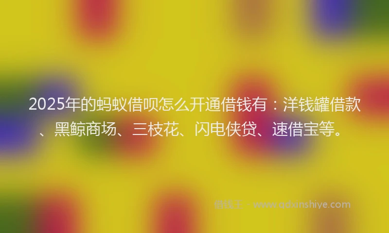 2025年的蚂蚁借呗怎么开通借钱有：洋钱罐借款、黑鲸商场、三枝花、闪电侠贷、速借宝等。