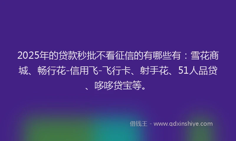 2025年的贷款秒批不看征信的有哪些有：雪花商城、畅行花-信用飞-飞行卡、射手花、51人品贷、哆哆贷宝等。
