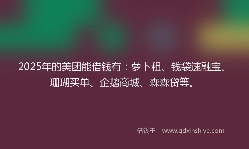 2025年的美团能借钱有：萝卜租、钱袋速融宝、珊瑚买单、企鹅商城、森森贷等。