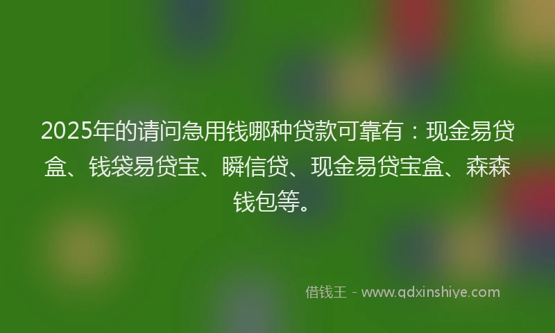 2025年的请问急用钱哪种贷款可靠有：现金易贷盒、钱袋易贷宝、瞬信贷、现金易贷宝盒、森森钱包等。