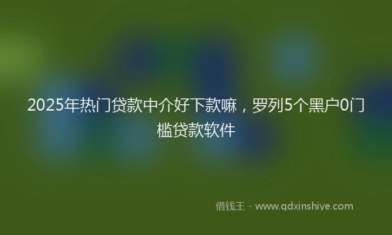 2025年热门贷款中介好下款嘛，罗列5个黑户0门槛贷款软件