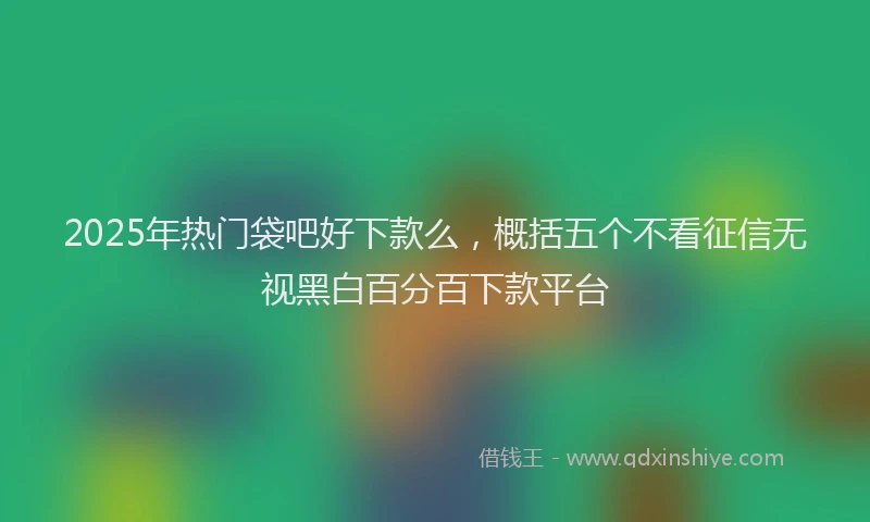 2025年热门袋吧好下款么，概括五个不看征信无视黑白百分百下款平台