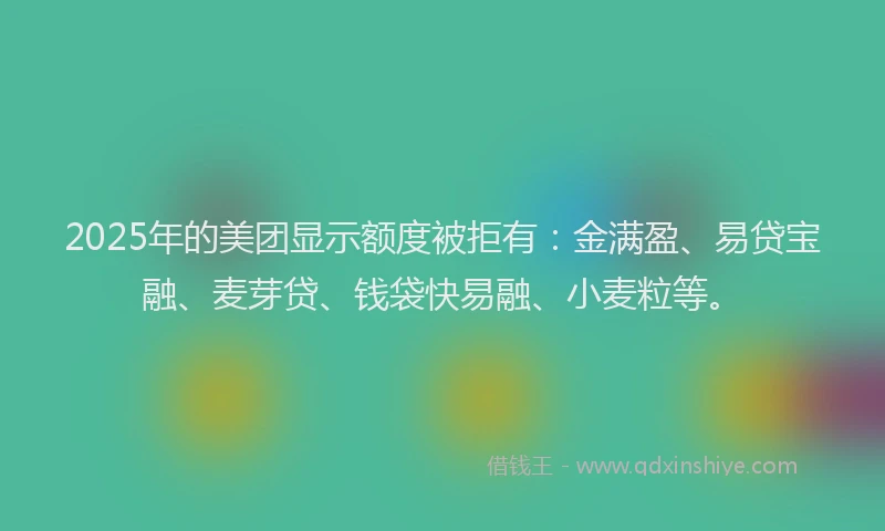 2025年的美团显示额度被拒有：金满盈、易贷宝融、麦芽贷、钱袋快易融、小麦粒等。