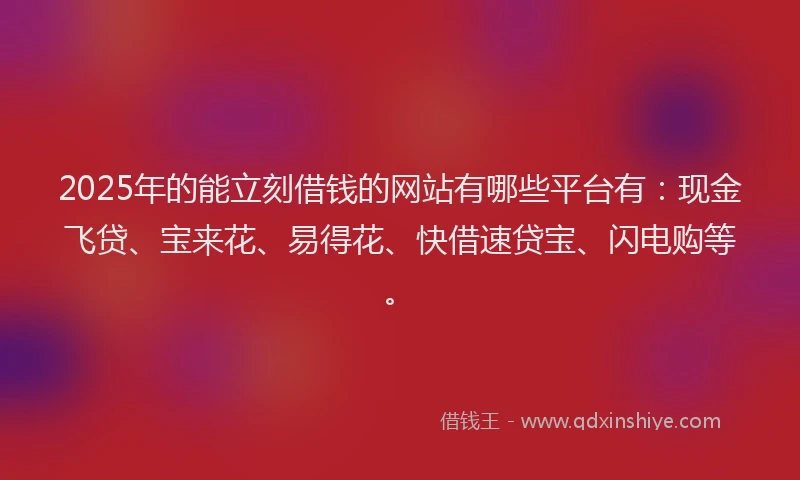 2025年的能立刻借钱的网站有哪些平台有：现金飞贷、宝来花、易得花、快借速贷宝、闪电购等。