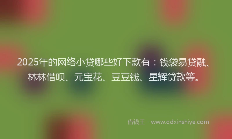 2025年的网络小贷哪些好下款有：钱袋易贷融、林林借呗、元宝花、豆豆钱、星辉贷款等。
