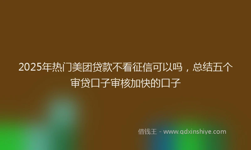 2025年热门美团贷款不看征信可以吗，总结五个审贷口子审核加快的口子